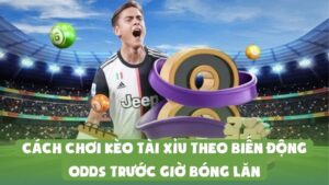 Cách Chơi Kèo Tài Xỉu Theo Biến Động Odds Trước Giờ Bóng Lăn